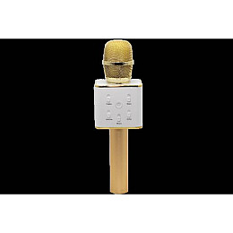 Беспроводной караоке микрофон GTM с динамиками в чехле Bluetooth USB Q7 Gold