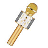 Бездротовий караоке мікрофон WSTER WS-858 Gold (2074330846)