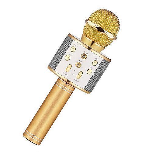 Бездротовий караоке мікрофон WSTER WS-858 Gold (2074330846)