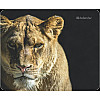 Коврик для миші Defender Wild (50803) (6287447)