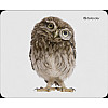 Коврик для миші Defender Wild (50803) (6287447)