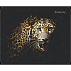 Коврик для миші Defender Wild (50803) (6287447)