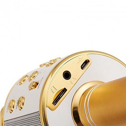 Беспроводный Bluetooth караоке микрофон с изменением голоса WSTER WS-858 Золотой Original Gold