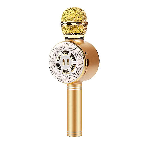 Детский микрофон Wster с функцией караоке USB, microSD, AUX, Bluetooth WS 669 Золотой