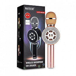 Дитячий мікрофон Wster з функцією караоке USB, microSD, AUX, Bluetooth WS 669 Рожевий з золотим