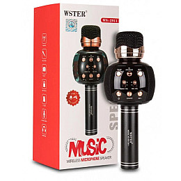 Караоке микрофон с колонкой и FM радио беспроводной вокальный портативный Bluetooth Wster Karaoke WS-2911 Черный