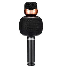 Караоке микрофон с колонкой и FM радио беспроводной вокальный портативный Bluetooth Wster Karaoke WS-2911 Черный