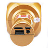 Безпровідний караоке мікрофон з колонкою WSTER WS-1816 Bluetooth Золото (W9054)