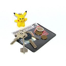 Обложка для документов DNK Leather Черный (DNK Posvid)