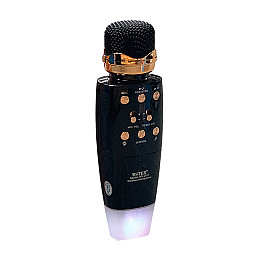 Беспроводной микрофон WSTER WS2011 Bluetooth с колонкой 2в1 microSD USB AUX Черный