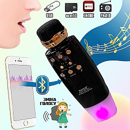 Беспроводной микрофон WSTER WS2011 Bluetooth с колонкой 2в1 microSD USB AUX Черный