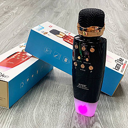 Беспроводной микрофон WSTER WS2011 Bluetooth с колонкой 2в1 microSD USB AUX Черный