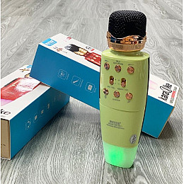 Беспроводной микрофон WSTER WS2011 Bluetooth с колонкой 2в1 microSD USB AUX Зеленый