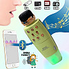 Беспроводной микрофон WSTER WS2011 Bluetooth с колонкой 2в1 microSD USB AUX Зеленый