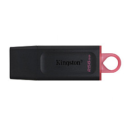Флешка ЮСБ King DT Exodia USB Flash Drive 3.2 256Гб Black / Pink