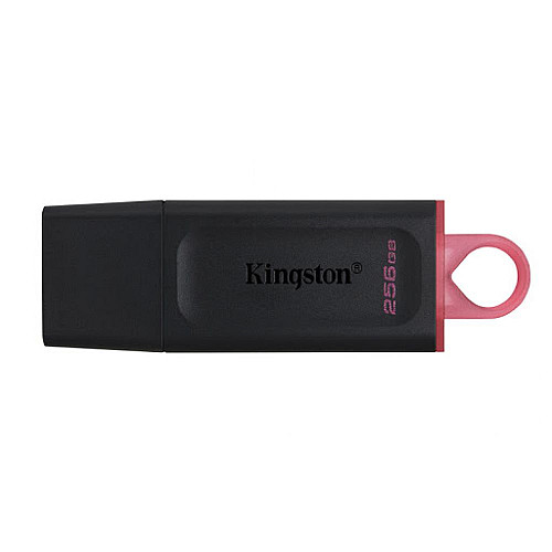 Флешка ЮСБ King DT Exodia USB Flash Drive 3.2 256Гб Black / Pink
