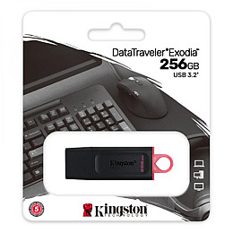 Флешка ЮСБ King DT Exodia USB Flash Drive 3.2 256Гб Чорний / Рожевий