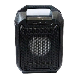 Портативна Bluetooth колонка RIAS B31 чемодан з караоке Black (4_00164)