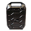 Портативна Bluetooth колонка RIAS B31 чемодан з караоке Black (4_00164)