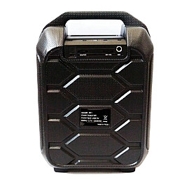 Портативна Bluetooth колонка RIAS B31 чемодан з караоке Black (4_00164)