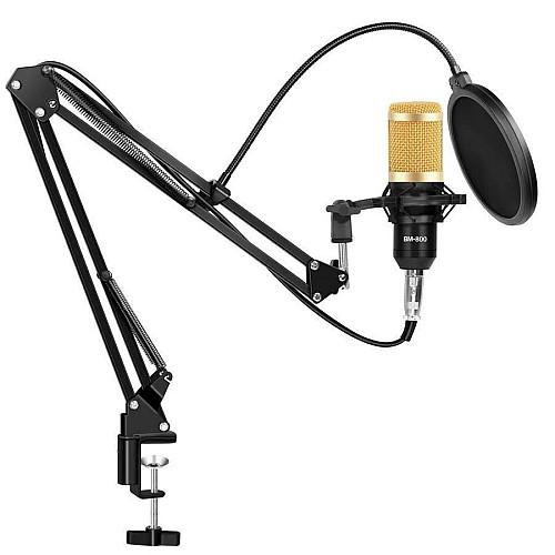 Конденсаторный микрофон студийный RIAS M-800 Pro-MIC со стойкой и ветрозащитой Black-Gold (4_00352)
