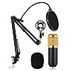 Конденсаторный микрофон студийный RIAS M-800 Pro-MIC со стойкой и ветрозащитой Black-Gold (4_00352)