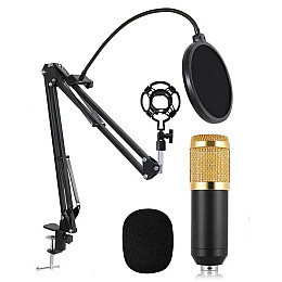 Конденсаторний мікрофон студійний RIAS M-800 Pro-MIC зі стійкою та вітрозахистом Black-Gold (4_00352)