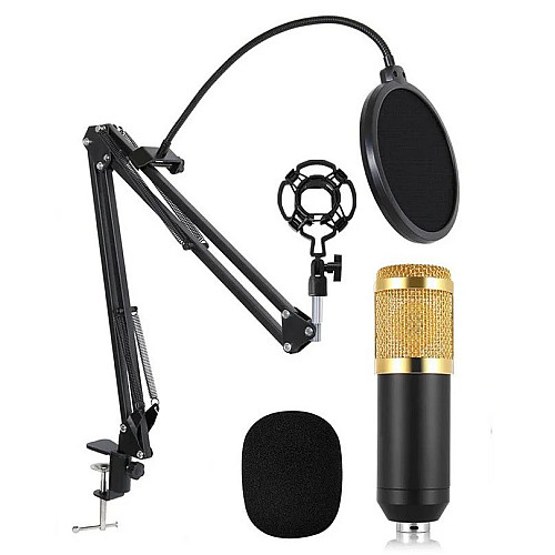 Конденсаторный микрофон студийный RIAS M-800 Pro-MIC со стойкой и ветрозащитой Black-Gold (4_00352)