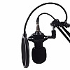 Конденсаторный микрофон студийный RIAS M-800 Pro-MIC со стойкой и ветрозащитой Black-Gold (4_00352)