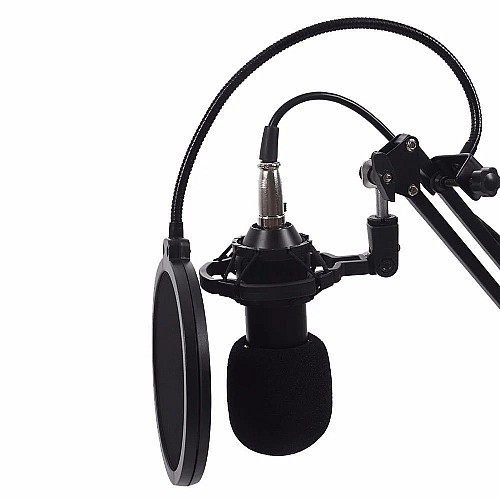 Конденсаторный микрофон студийный RIAS M-800 Pro-MIC со стойкой и ветрозащитой Black-Gold (4_00352)