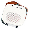 Портативна Bluetooth колонка RIAS K1 караоке + бездротовий мікрофон 5W White (3_04412)