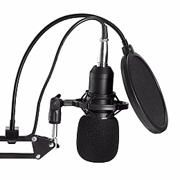 Конденсаторный микрофон студийный RIAS М800U с ветрозащитой Black (3_04683)