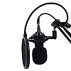 Конденсаторный микрофон студийный RIAS М800U с ветрозащитой Black (3_04683)