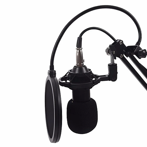 Конденсаторный микрофон студийный RIAS М800U с ветрозащитой Black (3_04683)