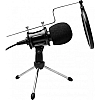 Конденсаторный микрофон студийный RIAS М800U с ветрозащитой Black (3_04683)