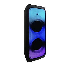 Акустична система RIAS ZXX-5512 + 2 мікрофони Black