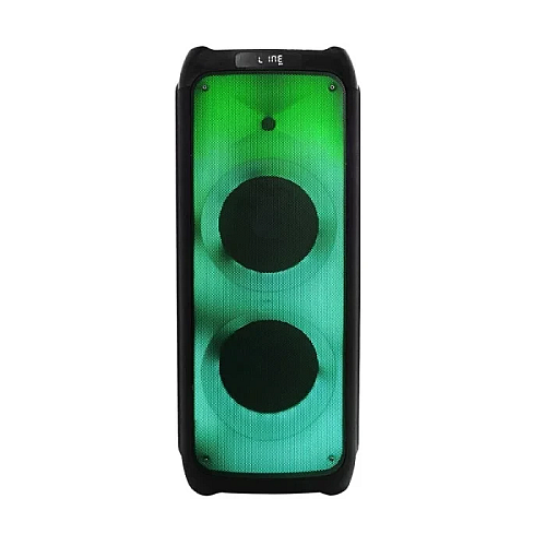 Акустическая система RIAS ZXX-5512 + 2 микрофона Black