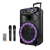 Акустическая система RIAS ZXX-1011 + 2 микрофона 1800 mAh 150W Black