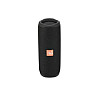 Бездротова акумуляторна Bluetooth колонка з радіо TGR TG-365