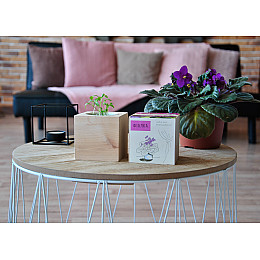 Набор для выращивания Экокубик Фиалка HMD (114-10822162)