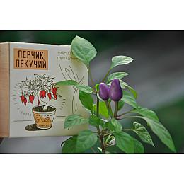 Набор для выращивания Экокубик Жгучий Красный перец (114-10817368)