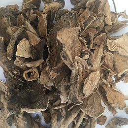 Кубышка желтая корень Карпаты 50 г