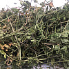 Яснотка зеленчукова (зеленчук жовтий) Карпати 50 г