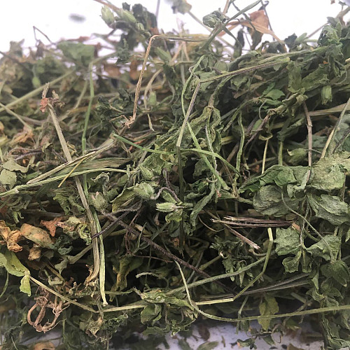 Яснотка зеленчукова (зеленчук жовтий) Карпати 50 г