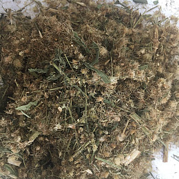 Мелколепестник канадский трава Карпаты 50г