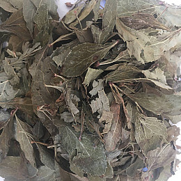 Лист Барбариса Карпаты 50 г