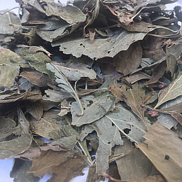 Адонис весенний - горицвет Карпаты 50 г