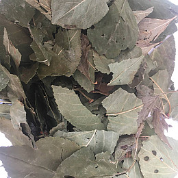 Листья вишни Карпаты 50 г