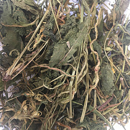 Первоцвет весенний трава (Примула) Карпаты 50 г