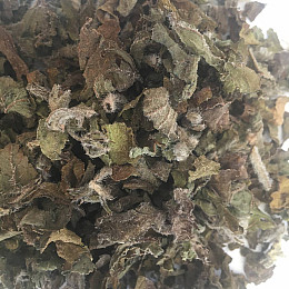 Бурачник лекарственный Огуречная трава Карпаты 50 г